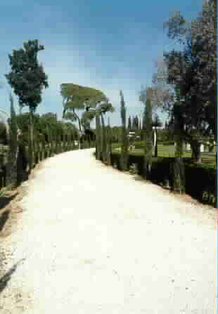 The Haram-i-Aqdas: Outer Path with pines (centre)